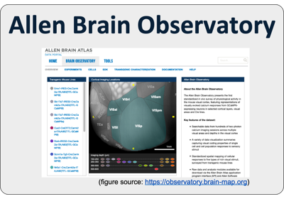 Allen Brain Observatory