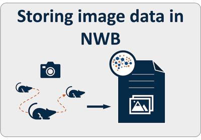 Storing Image Data in NWB