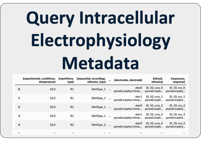 Query Intracellular Electrophysiology Metadata